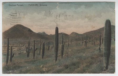 Postcard