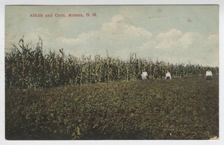 Postcard