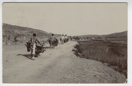 Postcard