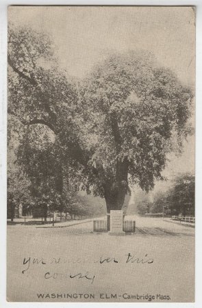 Postcard