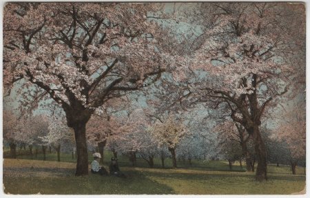 Postcard