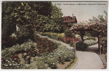 Postcard