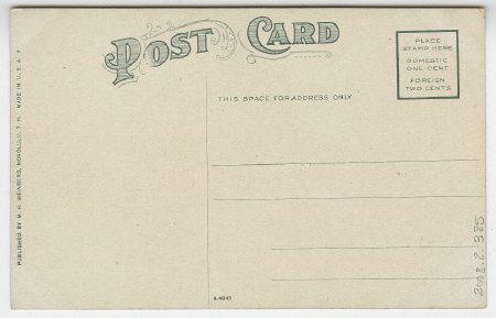 Old Hawaiians (back)