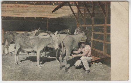 Postcard