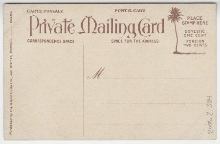Hawaiian Hula Hula Dancers (back)