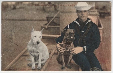 Postcard