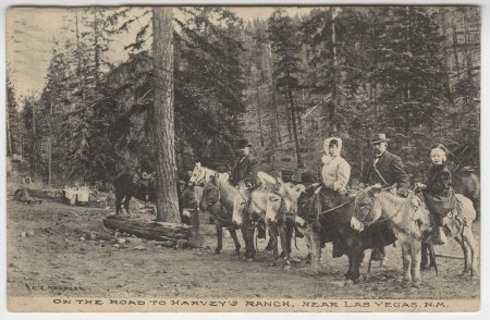 Postcard