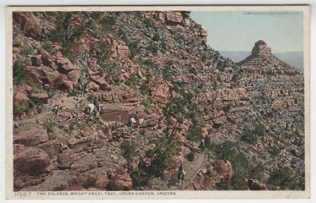Postcard