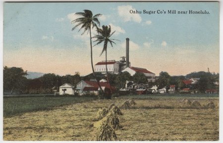 Postcard