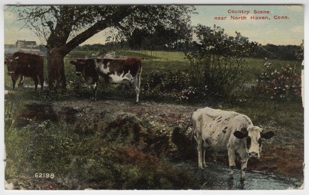 Postcard