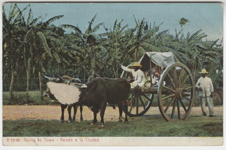 Postcard