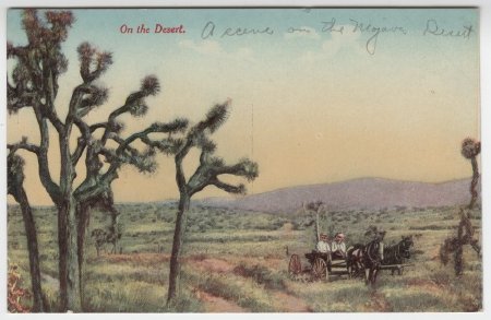 Postcard