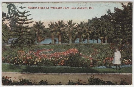 Postcard