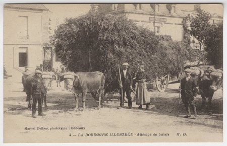 Postcard