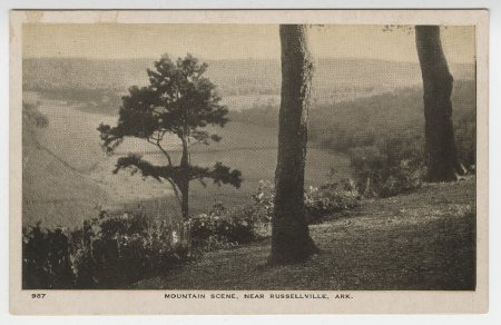 Postcard